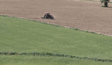 Çiftçi kredi çekecek gücü bile bulamıyor: Tarım yerleri bomboş kaldı