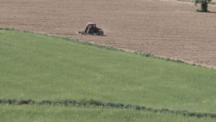 Çiftçi kredi çekecek gücü bile bulamıyor: Tarım yerleri bomboş kaldı