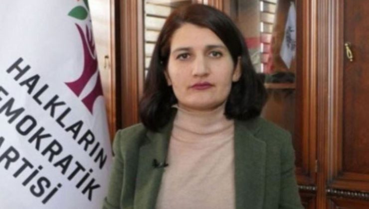 HDP’li Semra Hoş 19 Aralık’ta hâkim karşısına çıkacak