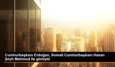 Cumhurbaşkanı Erdoğan, Somali Cumhurbaşkanı Hasan Pir Mahmud ile görüştü