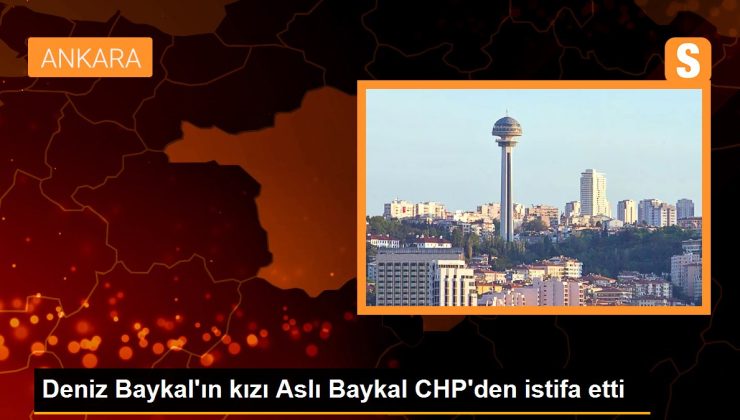 Deniz Baykal’ın kızı Aslı Baykal CHP’den istifa etti