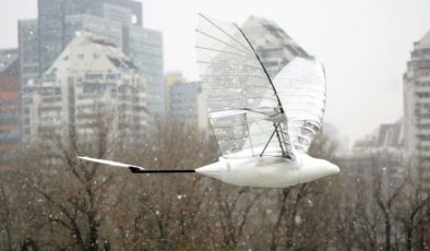 İnsansız hava aracı Guinness rekoru kırdı