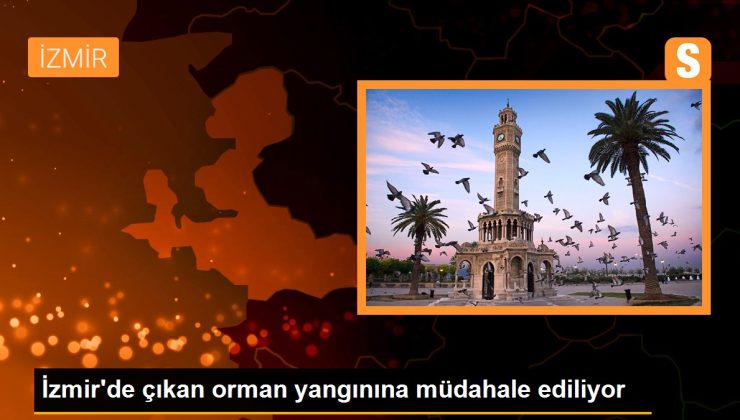 İzmir’de çıkan orman yangınına müdahale ediliyor