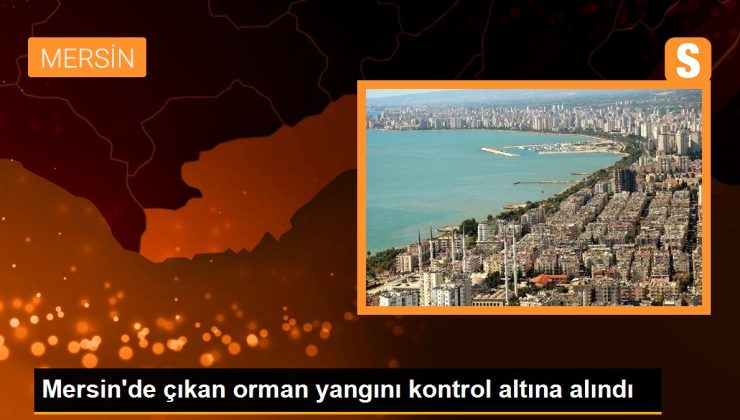 Mersin’de çıkan orman yangını denetim altına alındı