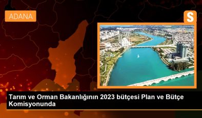 Tarım ve Orman Bakanlığının 2023 bütçesi Plan ve Bütçe Komitesinde