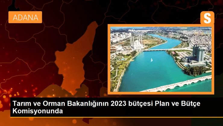 Tarım ve Orman Bakanlığının 2023 bütçesi Plan ve Bütçe Komitesinde