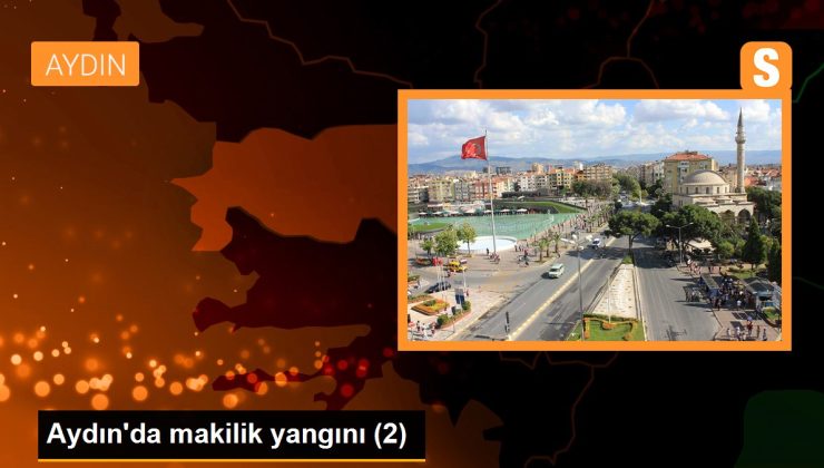 Aydın’da makilik yangını (2)