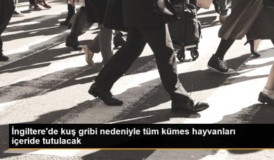 İngiltere’de kuş gribi nedeniyle tüm kümes hayvanları içeride tutulacak