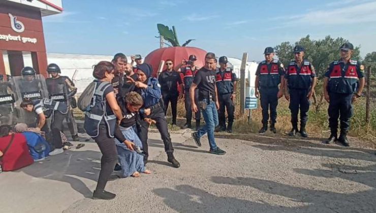 Sendikal hakları için direnen tarım işçilerine müdahale: Çok sayıda kişi gözaltına alındı!