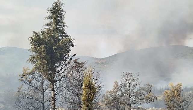 Foça yangını kontrol altına alındı